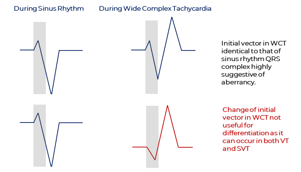 Sandler and Marriott's initial vector obervations